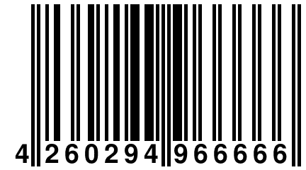 4 260294 966666