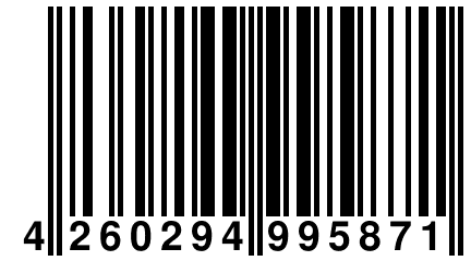 4 260294 995871