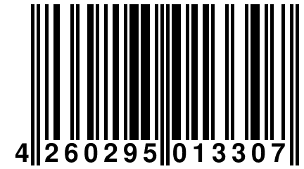 4 260295 013307