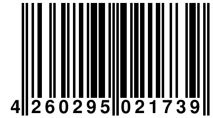 4 260295 021739