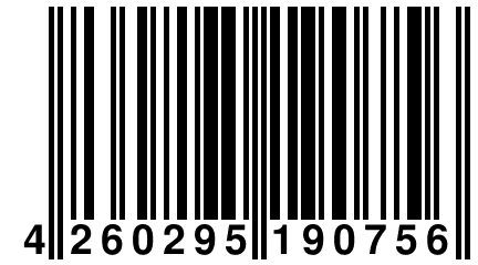 4 260295 190756