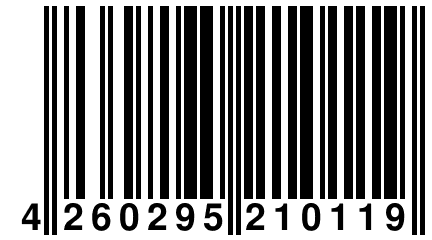 4 260295 210119