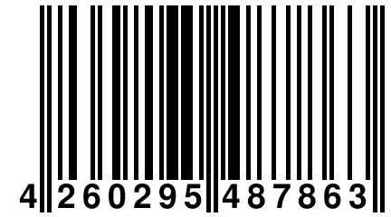 4 260295 487863