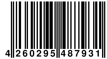 4 260295 487931