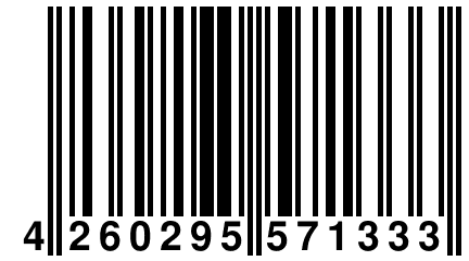 4 260295 571333