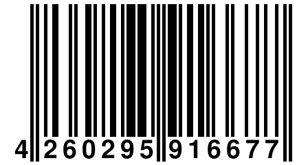 4 260295 916677