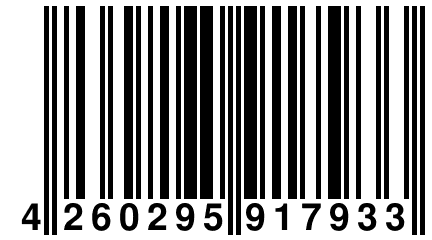 4 260295 917933