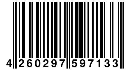 4 260297 597133