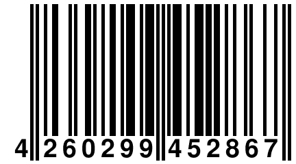 4 260299 452867