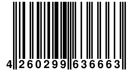 4 260299 636663