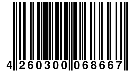 4 260300 068667