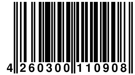 4 260300 110908