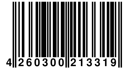 4 260300 213319