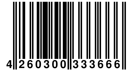 4 260300 333666