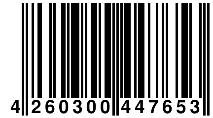 4 260300 447653