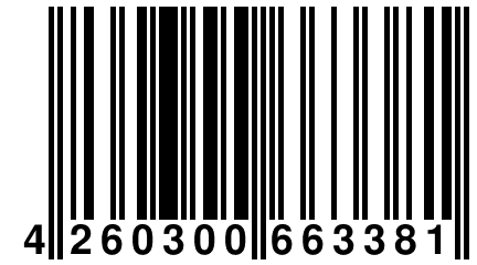 4 260300 663381