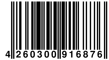 4 260300 916876