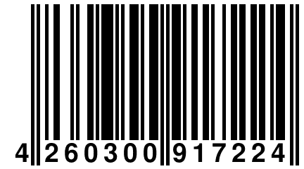 4 260300 917224