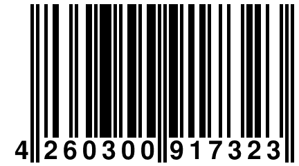 4 260300 917323