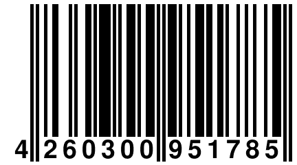 4 260300 951785