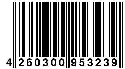 4 260300 953239