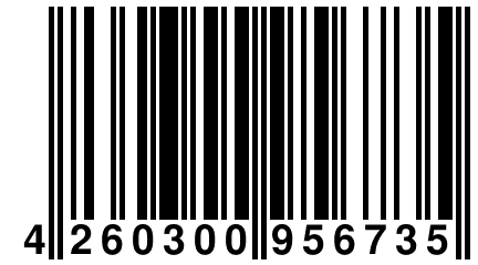 4 260300 956735