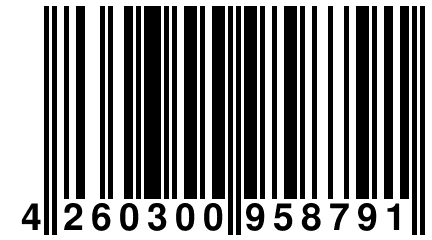 4 260300 958791