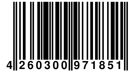 4 260300 971851