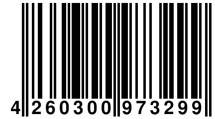 4 260300 973299