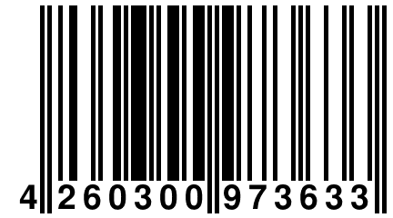 4 260300 973633