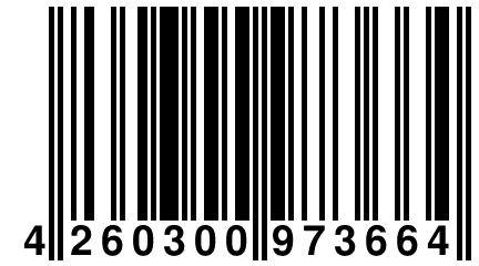 4 260300 973664