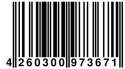 4 260300 973671