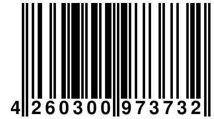 4 260300 973732