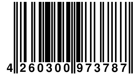 4 260300 973787