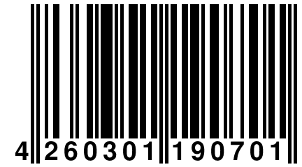 4 260301 190701