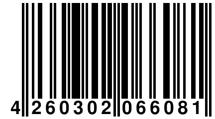 4 260302 066081