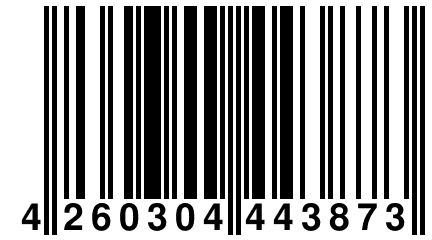 4 260304 443873