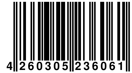 4 260305 236061