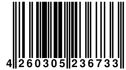 4 260305 236733