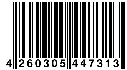 4 260305 447313