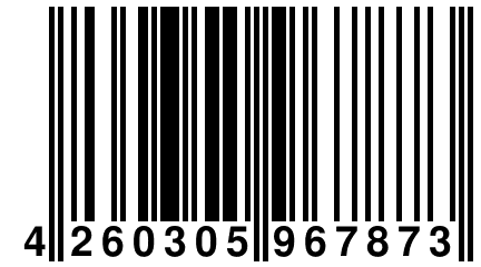 4 260305 967873