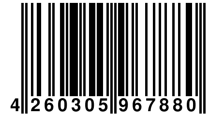 4 260305 967880