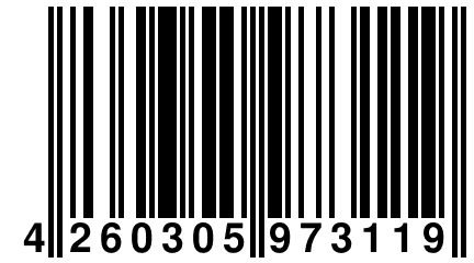 4 260305 973119