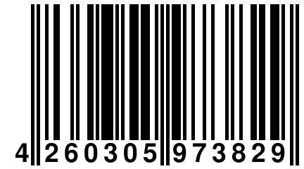 4 260305 973829