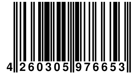 4 260305 976653