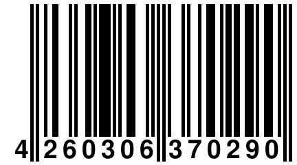 4 260306 370290