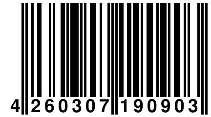 4 260307 190903