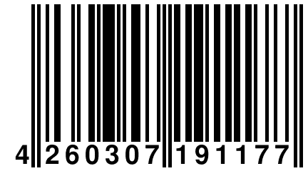 4 260307 191177