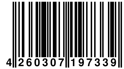 4 260307 197339