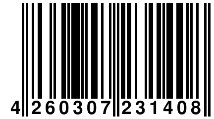 4 260307 231408